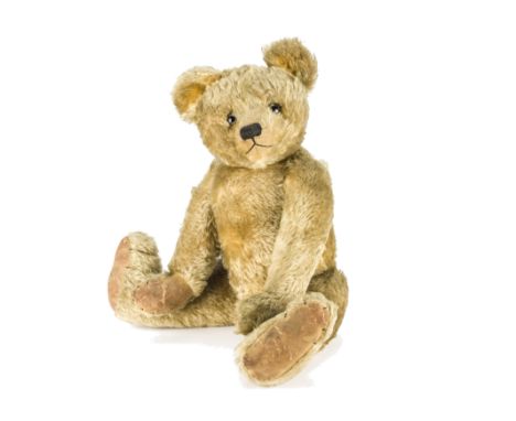 A fine and large Alpha Farnell teddy bear, with golden mohair, clear and black glass eyes with remains of brown painted backs