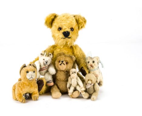 A 1950s golden mohair teddy bear, with clear and black glass eyes with brown painted backs, black stitched nose and mouth, sw