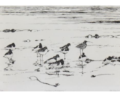 After W.Neill (20th Century), a monochrome print, 'Oystercatchers', signed to the lower right, a limited edition 2/100, frame