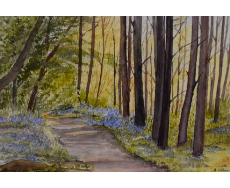 Margaret Williams (20th Century, British), a watercolour, 'Woodland Walk', a bluebell lined path, signed to the lower right a
