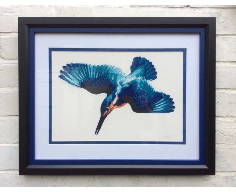 LUKE AGNEW Kingfisher Spray paint on mount board. Signed and framed Size: 62 x 50 x 4 cm (framed) https://www.artfinder.com/l