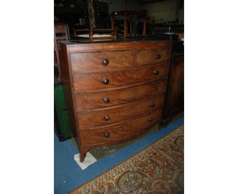 A superb quality early 19th c. Mahogany bow front Chest of six Drawers, the top having satinwood and rosewood cross-banding w