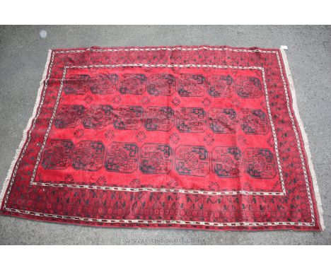 A woollen Tribal Baluch Carpet in red field, 285 cms x 215 cms.