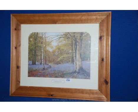 An Edward Wilkins Waite 1878-1927 "Beechwoods in May" large framed Print.