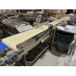 Bun Transfer Conveyor P4, 24" w/variable speed drive, extending from bagger to metal detector [