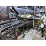 Capway Bread Depanner, mod. EBS-DRBU-30, s/n BD0103-10, 32" belt with 600 caps, 230/460 V, w/