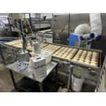 Spraying Syst Egg/Water Sprayer, 6 wide, 110 volt (capable of 260 VAC) w/pan transfer conveyor and