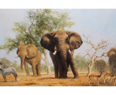 David Shepherd, signed colour print ' An African Landscape ', together with another 
