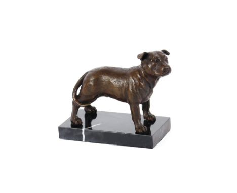 A bronze figure of a bulldog raised on marble plinth, 16cm long x 14cm high