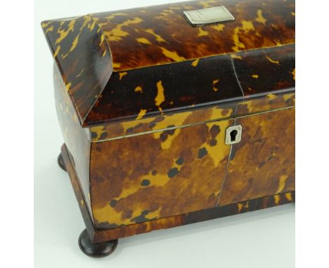 A 19th century tortoiseshell sarcophagus tea caddy, with inner lids and bun feet, width 18cm