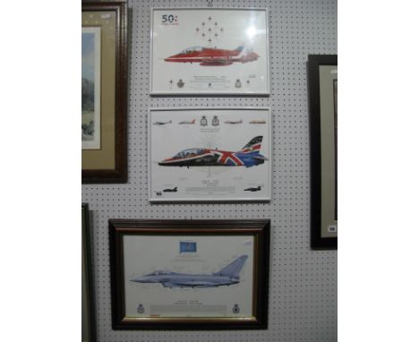 A 2005 Print of a Typhon F2 29 (R) Squadron, graphite signed by various squadron members, plus a Red Arrows print, graphite i