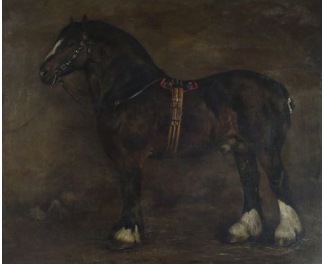 CHARLES AUGUSTUS HENRY LUTYENS RA (BRITISH 1829-1915) CLYDESDALE HORSE PRINCE OF WALES 673 Oil on canvas, 63.5 x 76cm (25 x 3