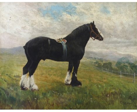 C W MIDDLETON (BRITISH 19TH/20TH CENTURY) SIR THOMAS Oil on canvas, signed and dated 1896, 41 x 51cm (16 x 20") Inscribed wit