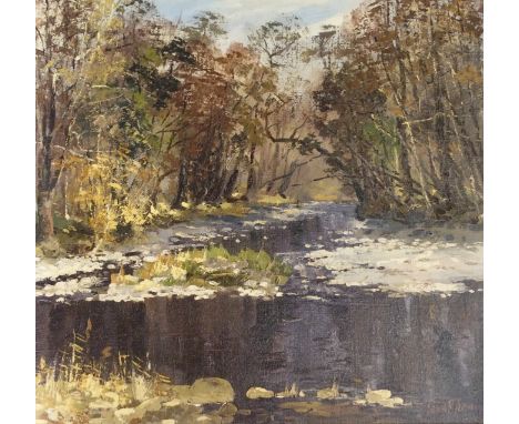 •HELEN M TURNER PPAI (SCOTTISH B. 1937) THE RIVER STINCHAR Oil on canvas, signed, 67 x 71cm (26 1/21 x 28") Condition Report: