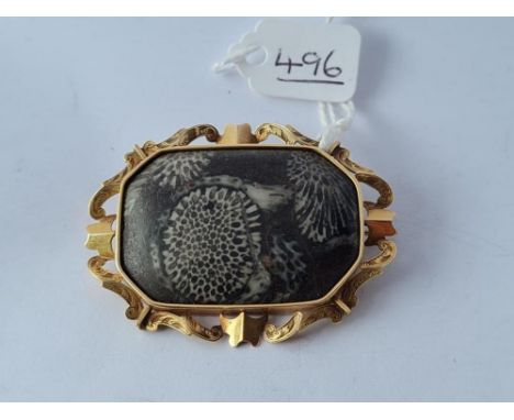 A Victorian large gold framed fossilised marble panel brooch in 9ct - total weight 18.8gms