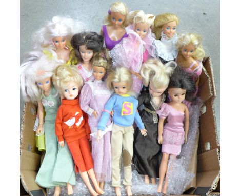 Twelve vintage fashion dolls including Sindy, Barbie, Tressy, Gem, etc. 