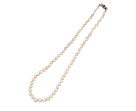 A CULTURED PEARL NECKLACE, graduated cultured pearls knotted to pierced clasp. 42cm longSurface wear noted to some pearls, re