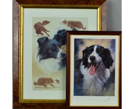 JOHN TRICKETT (BRITISH 1953) a limited edition print 145/500 of a border collie dog, signed in pencil, mounted, framed and gl