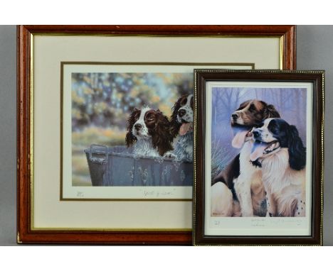 PAUL DOYAL (BRITISH CONTEMPORARY) 'Spick and Span' a limited edition print 336/850 of a pair of springer spaniels, signed, ti