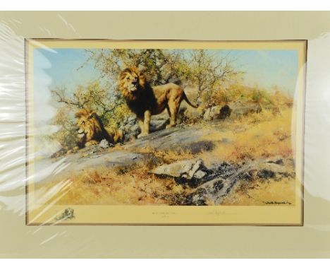 DAVID SHEPHERD (BRITISH 1931-2017), 'The Two Gentlemen of Savuti', A Limited Edition print, 328/1500, of a pair of Lions, sig