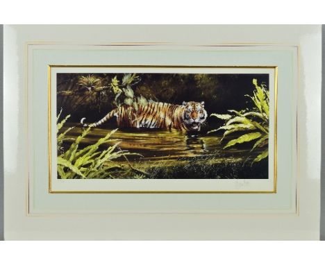SPENCER HODGE (BRITISH 1943), 'Warning', A Limited Edition print, 287/500, of a Tiger wading through water, signed and number