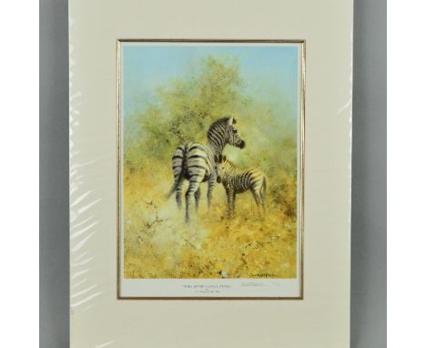 DAVID SHEPHERD (BRITISH 1931-2017) 'Zebra Mother and Foal, Etosha', a limited edition print 91/850, signed and numbered in pe