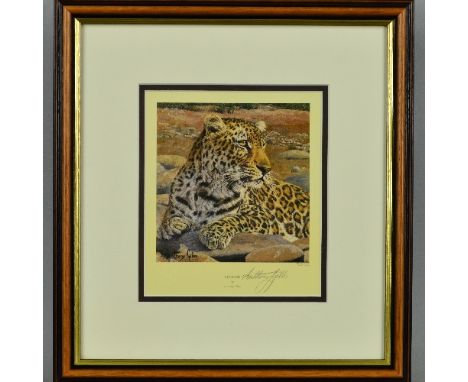 ANTHONY GIBBS (BRITISH 1951) 'LEOPARD', a limited edition print 703/1000, signed in pencil with blind stamp, mounted, framed 