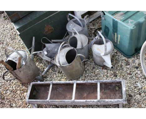 Six Galvanised Watering Cans plus a Feed Trough