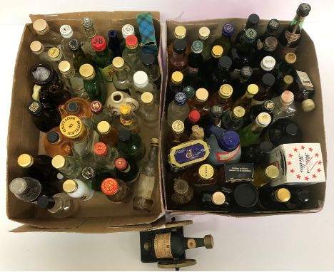 One box approx. 45 various miniatures, including Dimple Haig, Napoleon Cognac, Torres Gran Reserva Imperial Brandy, Cassoni S