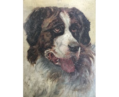 (19th Century) Portrait of a St Bernard dog, oil on canvas, in moulded gilt frame, 29 x 21 cm 