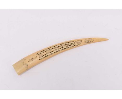 A late 19th century walrus tusk cribbage boardWith incised decoration of seals, bears and boats.42cm long