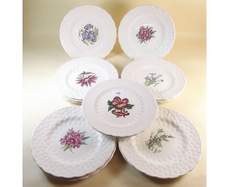 A set of fourteen Spode Bermuda flower plates made for Wm Buck and Co