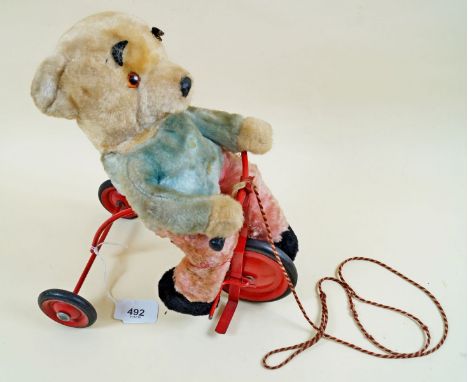 A Chiltern Bear riding trike