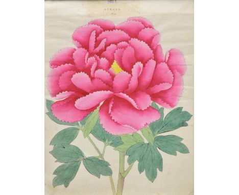 [Yokohama Nursery Co Ltd]. Rare Hardy Japanese Peonies, Iris, Maples, Magnolias &c [so titled on upper cover], circa 1890,  a