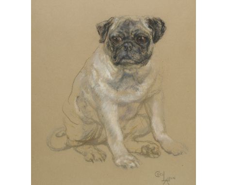 *Aldin (Cecil, 1870-1935). Portrait of a Pug,  coloured chalks on pale brown paper, signed lower right, sheet size 45 x 38 cm
