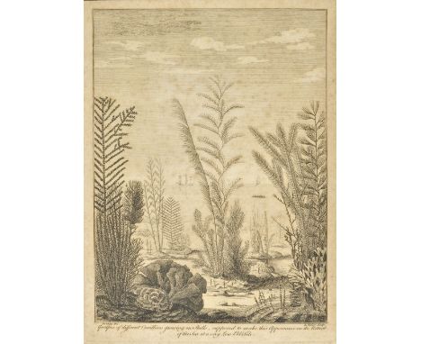 Ellis (John). An Essay Towards a Natural History of the Corallines, and Other Marine Productions of the like kind, Commonly f