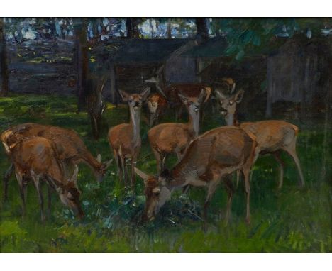Rudolf Schramm-Zittau1874 Kronstadt - 1950 Erwald - Hirschkühe im Gehege - Öl/Lwd. 50,5 x 70,5 cm. Sign. r. o.: RUDOLF SCHRAM