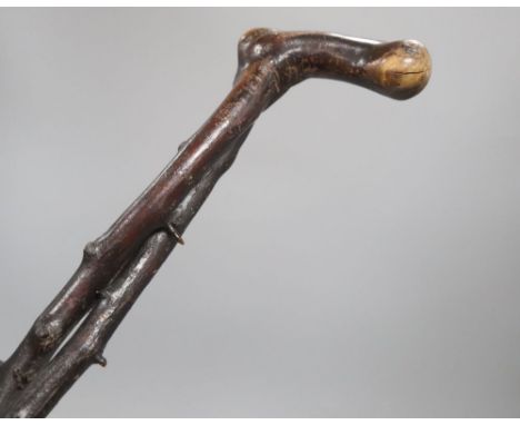 A Blackthorn hedgerow walking stick, c.1820