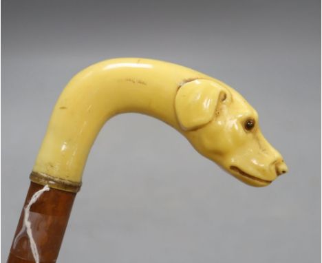 A carved ivory dog's head walking stick, c.1860, length 33cm