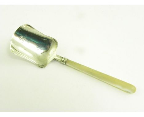 A VICTORIAN MOTHER OF PEARL HANDLE SILVER CADDY SPOON, BIRMINGHAM 1884