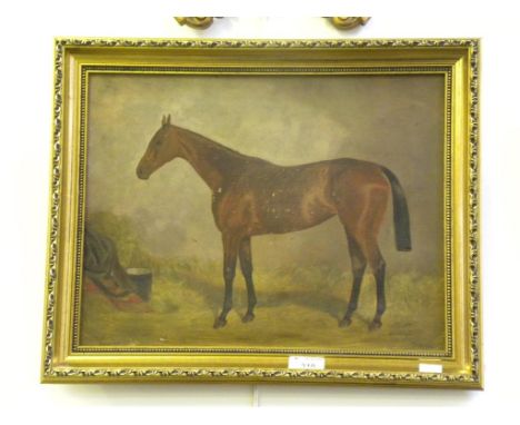 ALFRED G HAIGH - PORTRAIT OF THE RACE HORSE "SCEPTRE" IN A LOOSE BOX, SIGNED, DATED 1901, INSCRIBED WITH THE HORSES NAME AND 