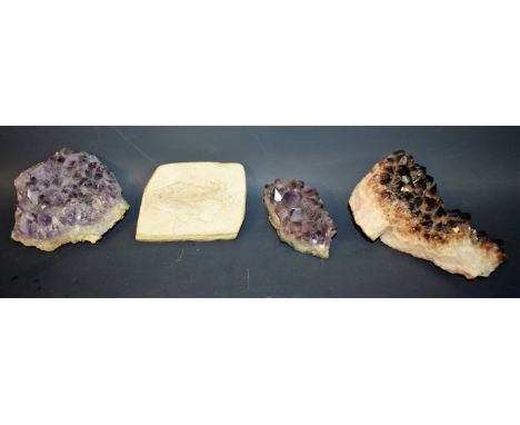 Geology - a quartz and calcite specimen, 13cm wide; others, amethyst quartz; a fish fossil, 10cm wide, probably Devonian peri
