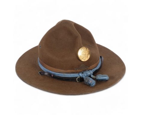 A US Army hat with badge