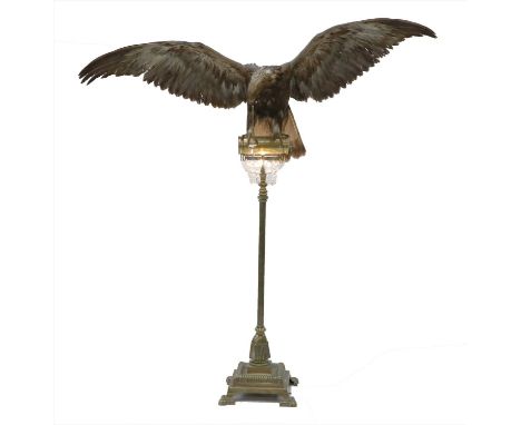 GOLDEN EAGLE LAMP, early 20th century, a large and unusual taxidermy Golden Eagle, later mounted on a stylish extendable bras