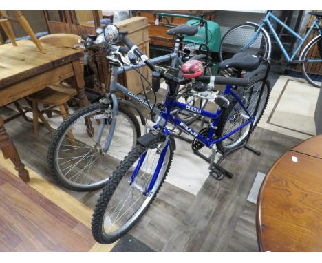Ladies and Gents Raleigh Pioneer Classic Bikes, 20 &amp; 23 inches. Both bikes in very goodf condition.  See photos.