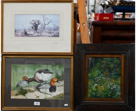 P R Hobson - Common pochard on water's edge, watercolour, signed, 22.5 x 35.5 cm to/w David Shepherd signed elephant print an