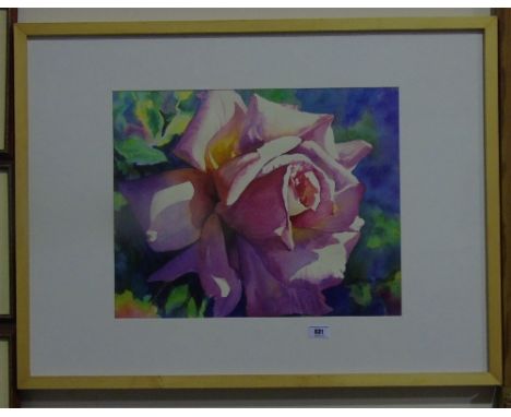 Brenda Malley (Ireland b.1954). Rose Light. Watercolour, signed l.r., and titled verso with artist's label. 15.5 x 19.5ins.Fr