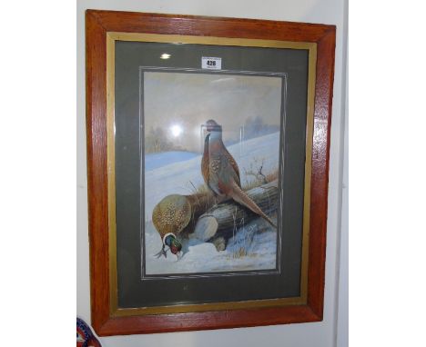 A Framed and Glazed Print Depicting Two Pheasants in the Snow. 36 x 24cm. 