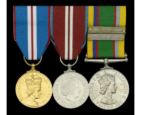 Three: Chief Petty Officer Instructor M. J. Farley, Sea Cadets Corps, Royal Naval Reserve  Jubilee 2002, unnamed as issued; J
