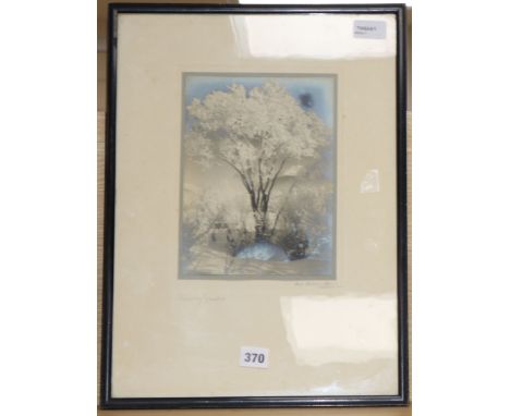 Albert Steiner (1877-1965), 'Raureif-Zauber', photographic print, signed, inscribed in pencil 'St Moritz', 23cm x 17cm